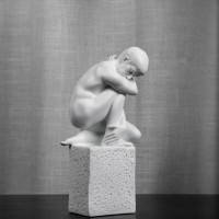 VIRGO/ The Virgin Male