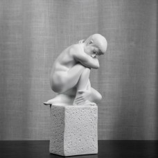 VIRGO/ The Virgin Male